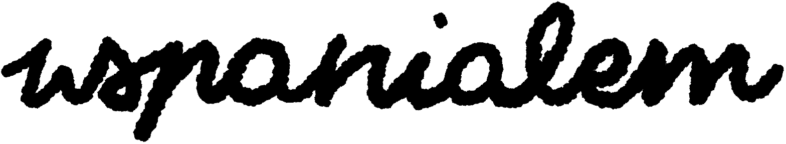 Wspanialem logo